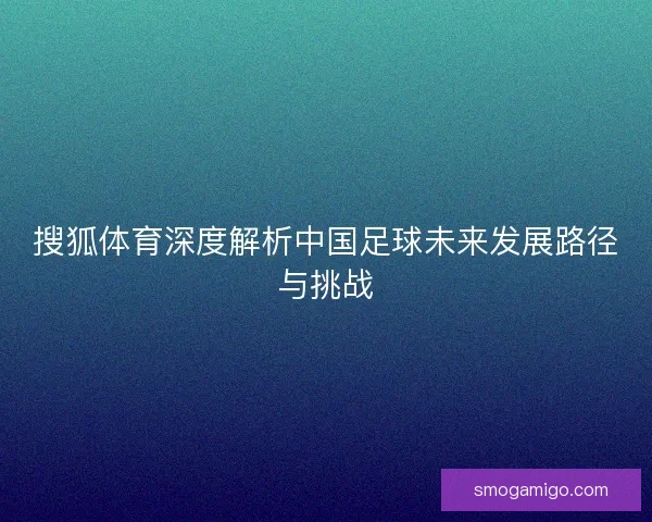 搜狐体育深度解析中国足球未来发展路径与挑战 搜狐体育深度解析中国足球未来发展路径与挑战