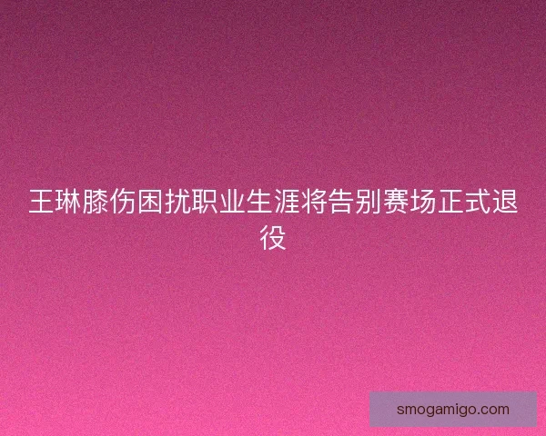 王琳膝伤困扰职业生涯将告别赛场正式退役 王琳膝伤困扰职业生涯将告别赛场正式退役